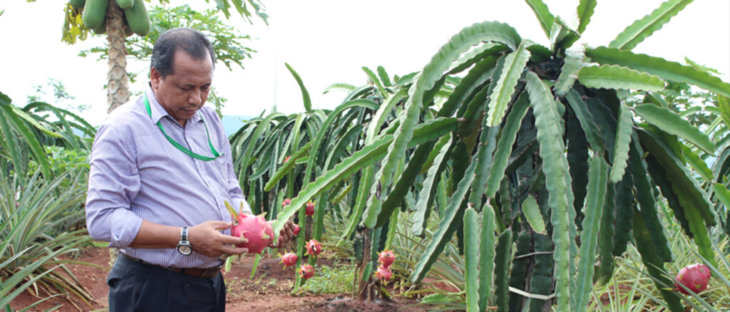 Perwakilan Kemenag Kunjungi Kebun Indonesia Berdaya Dompet Dhuafa