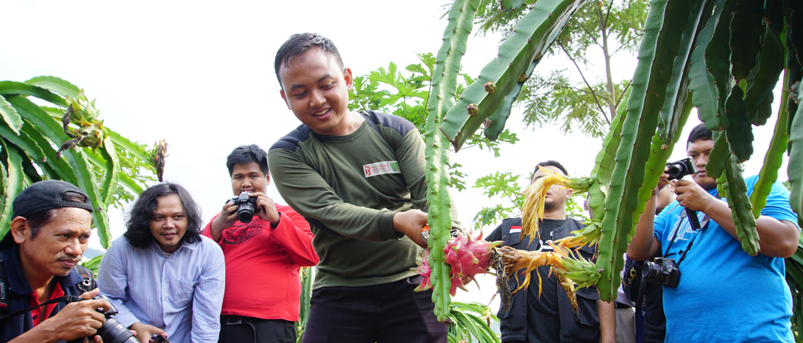 Kembangkan Program Wakaf Produktif, Dompet Dhuafa Berdayakan Masyarakat ...