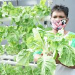 Webinar Pembuka Festival Berkebun Di Kota Ajak Masyarakat Mandiri Melalui Kebun Dan Ternak