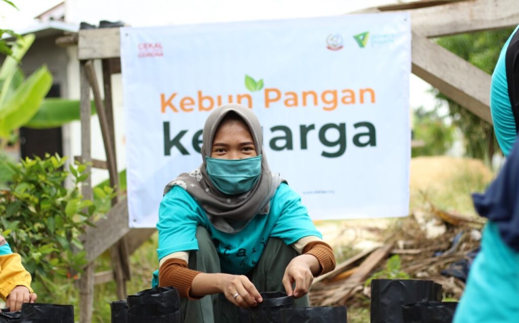 Kolaborasi Kuatkan Ketahanan Pangan Di Tengah Corona Melalui Kebun ...