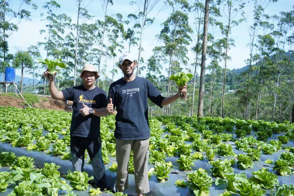 Petani di Desa Tani, program pemberdayaan ekonomi yang dikembangkan oleh Dompet Dhuafa dari dana zakat. Artikel alasan wajib bayar zakat.