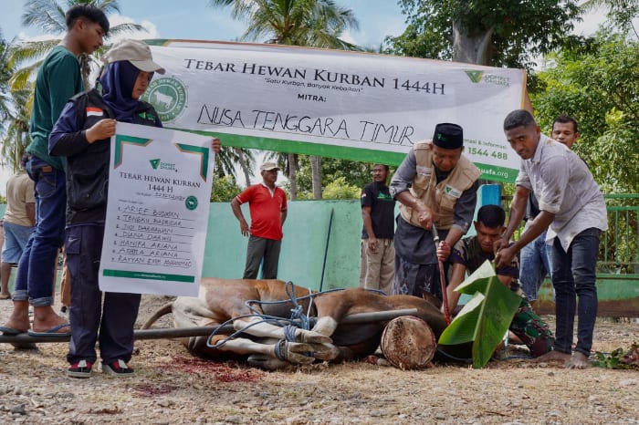 tebar hewan kurban dompet dhuafa di perbatasan negeri