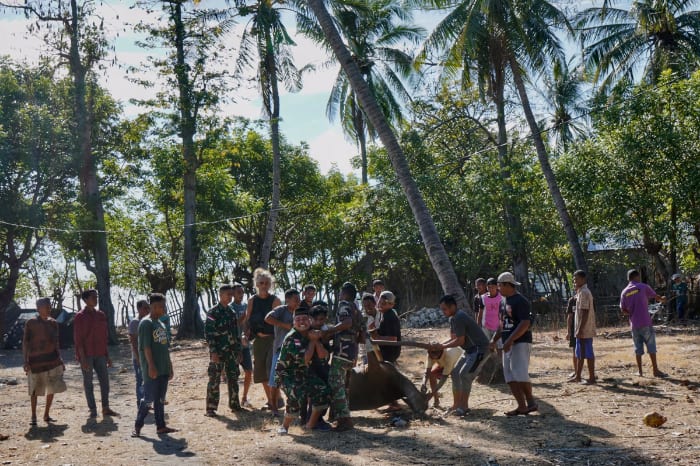 tebar hewan kurban dompet dhuafa di perbatasan negeri