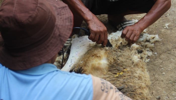 Dompet Dhuafa ajak media Jelajah Sentra Ternak Cianjur.