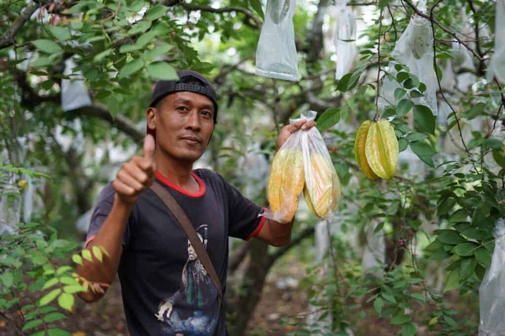 Desa Wisata Belimbing Tulungagung