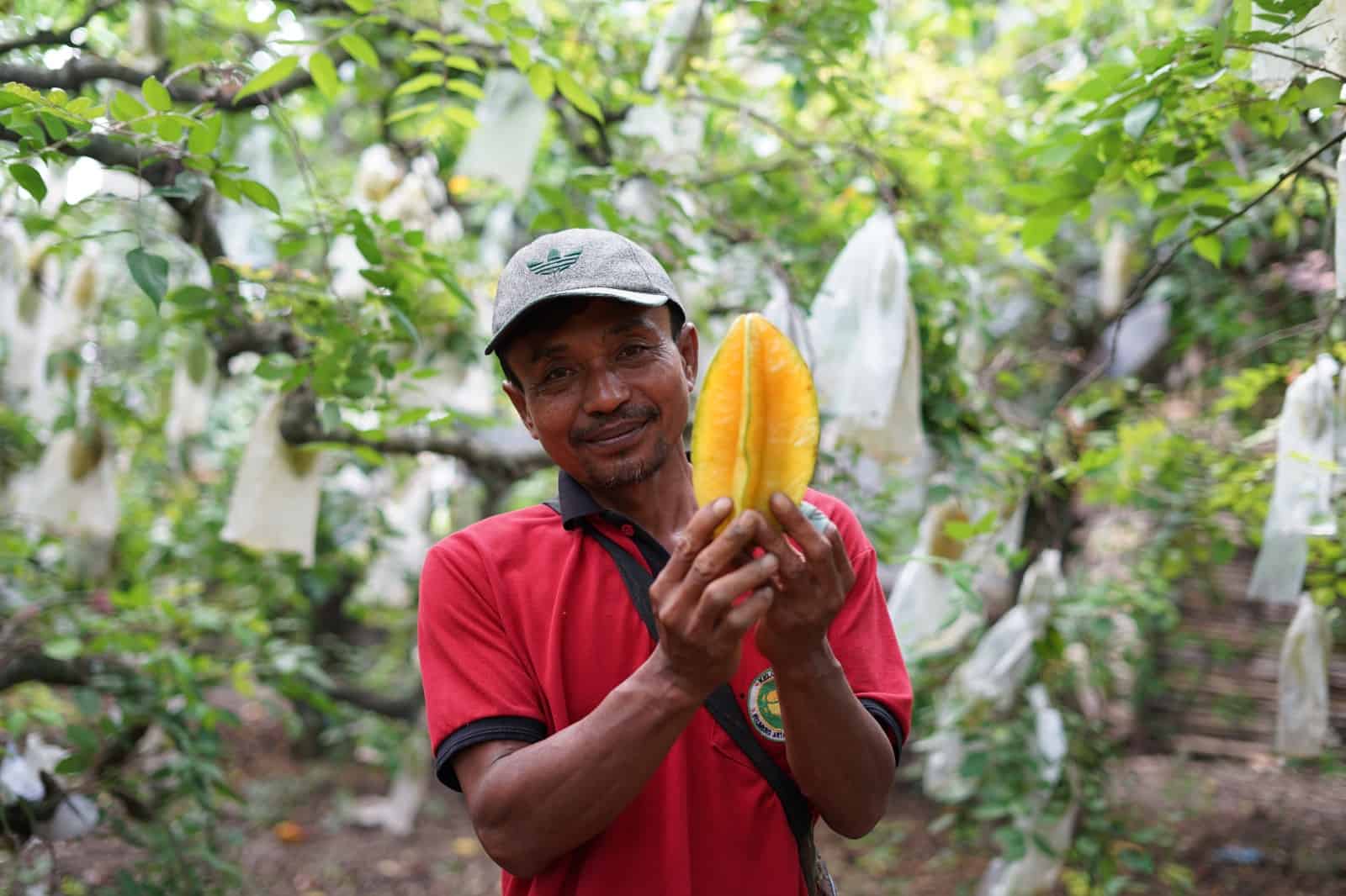 Desa Wisata Belimbing Tulungagung