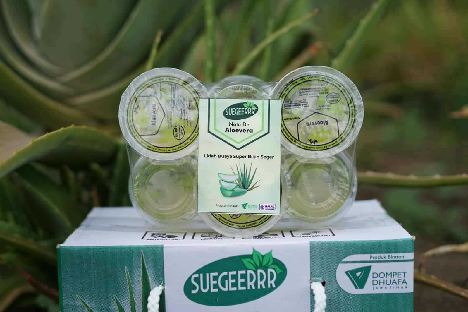 Pemberdayaan zakat produktif dompet dhuafa - aloevera