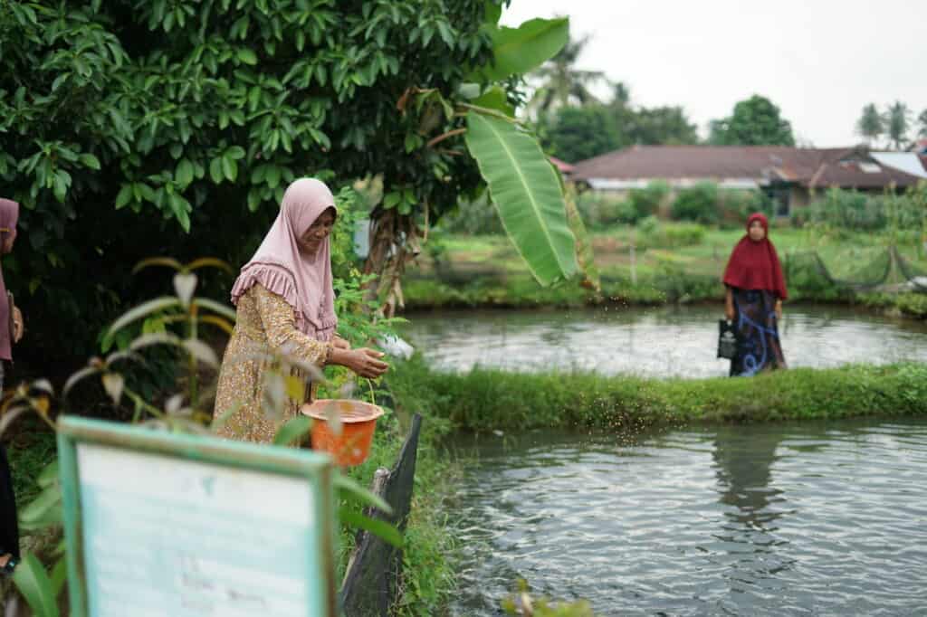 Program Kampuang Nila Dompet Dhuafa, budi daya ikan nila.