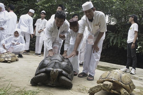 Anak-anak disabilitas kunjungi deHakims Aviary