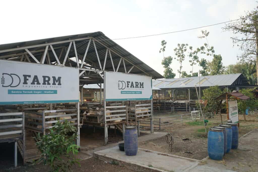 Kurban via Dompet Dhuafa, berdayakan petani lokal dengan DD Farm