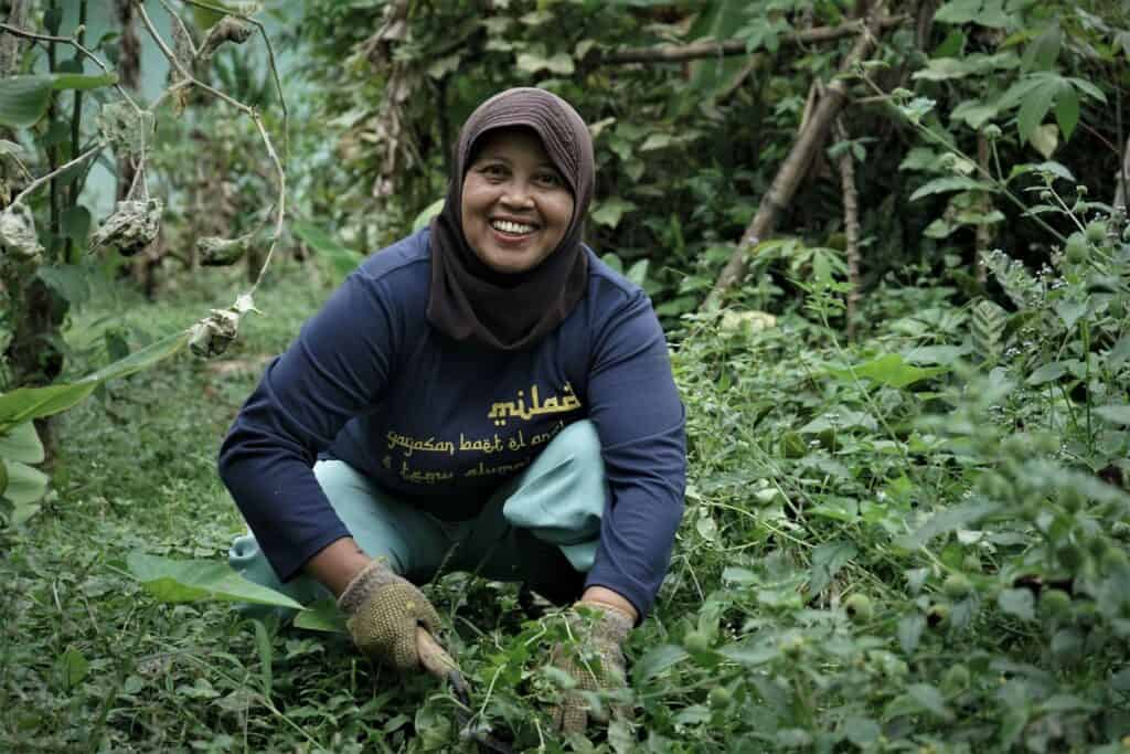 Peternak Sukabumi di Tebar Hewan Kurban