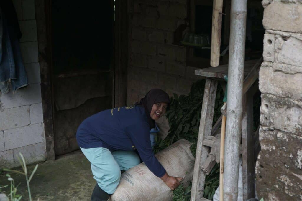 Peternak Sukabumi di Tebar Hewan Kurban