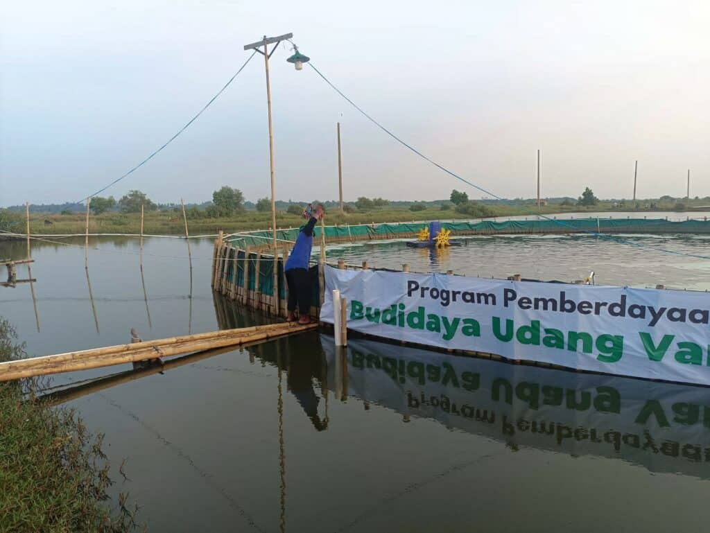 Program pemberdayaan ekonomi Dompet Dhuafa Banten, Budidaya Udang Vaname, terletak di Desa Wanayasa, Kecamatan Pontang, Serang.