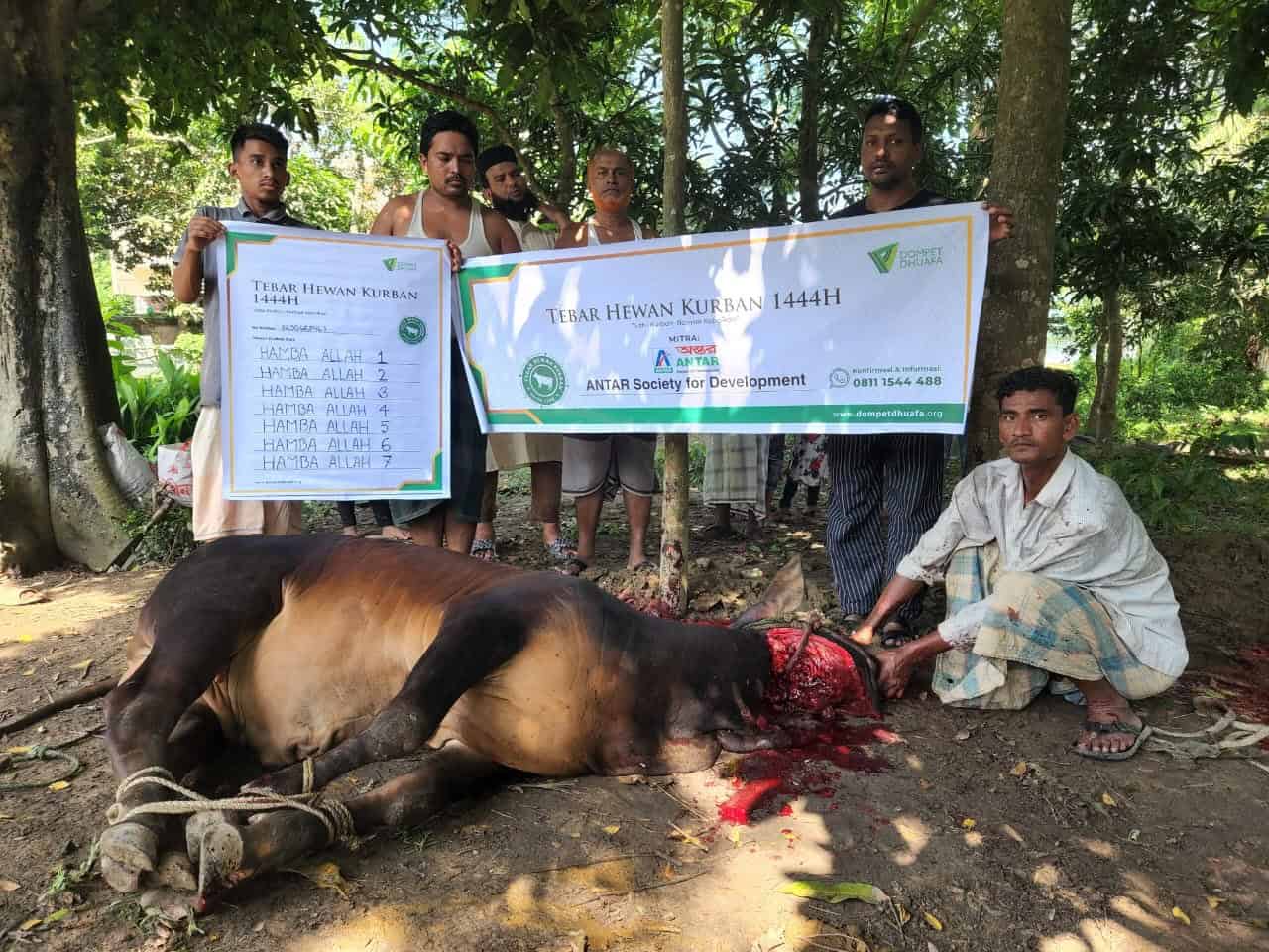 Pelaksanaan Tebar Hewan Kurban Dompet Dhuafa di Bangladesh