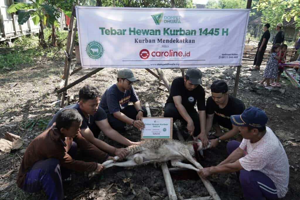 Tim Dompet Dhuafa melakukan proses penyembelihan hewan kurban mitra Caroline.id di Desa Padas, Grobogan, Jawa Tengah, Senin (17/06/2024).