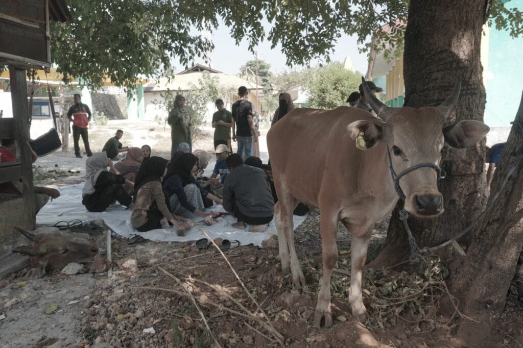 Seluruh elemen kampus mulai dari dosen, mahasiswa, hingga warga sekitar STAI Kupang bergotong-royong untuk melaksanakan penyembelihan hingga distribusi daging kurban.