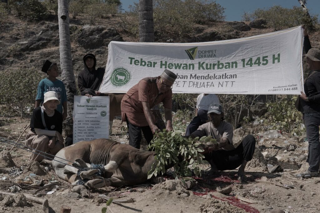 Prosesi kurban di wilayah Desa Papela, Rote Ndao, Nusa Tenggara Timur.