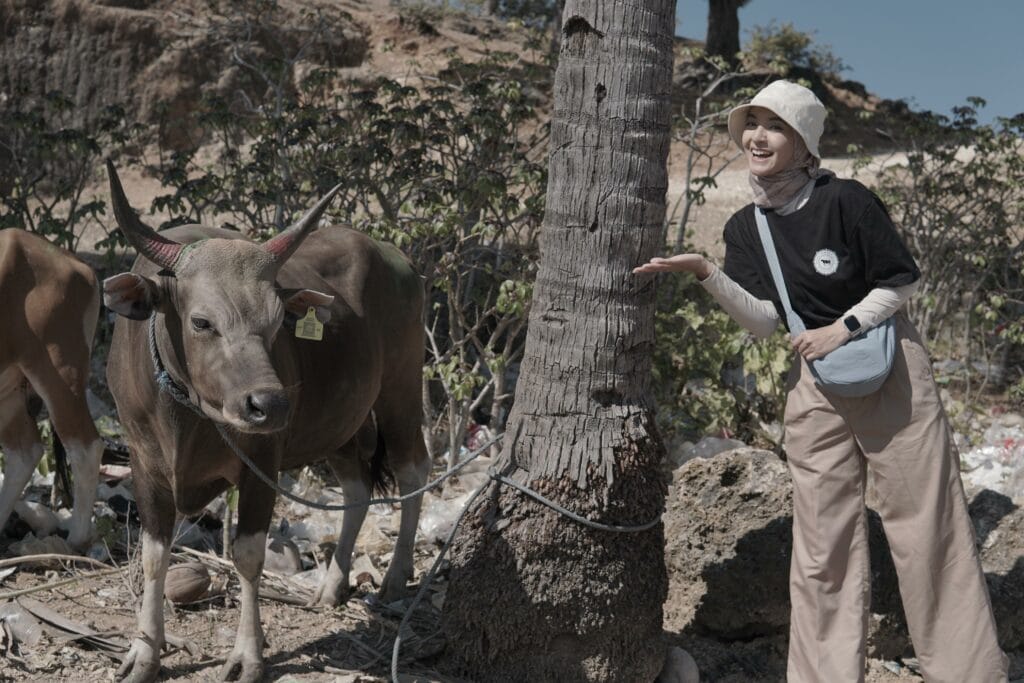 Nabila Ishma berpose bersama sapi kurbannya yang akan disembelih di Desa Papela, Rote Ndao, NTT.