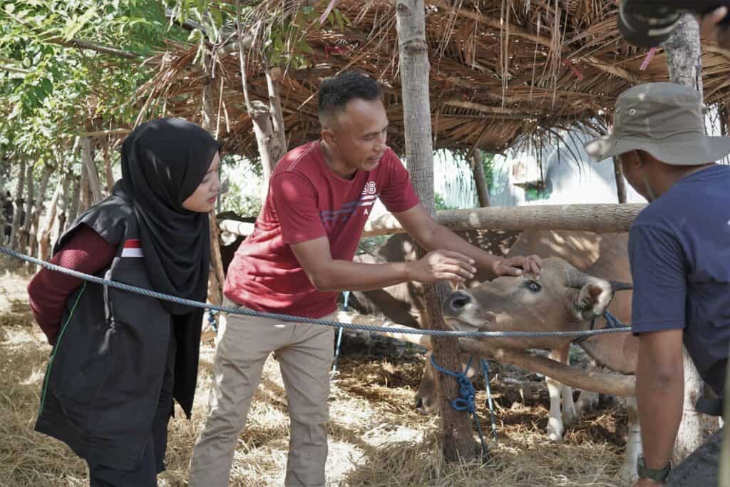 Refleksi Hidup Ocha Nugraha saat mengikuti proses QC hewan kurban bersama Dompet Dhuafa di NTT.