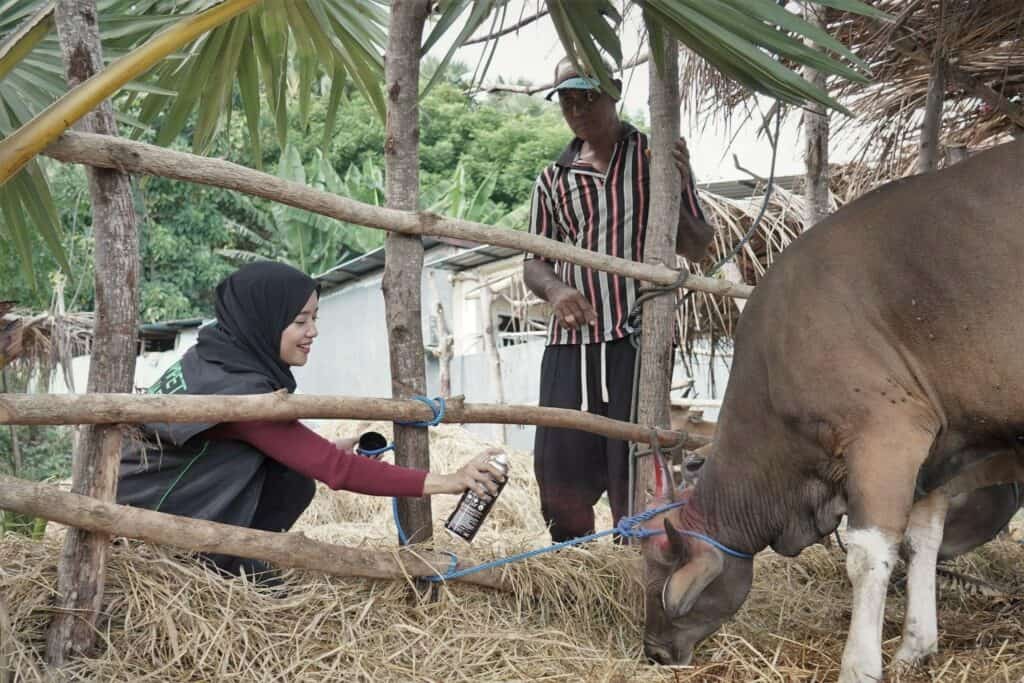 Refleksi Hidup Ocha Nugraha saat mengikuti proses QC hewan kurban bersama Dompet Dhuafa di NTT.