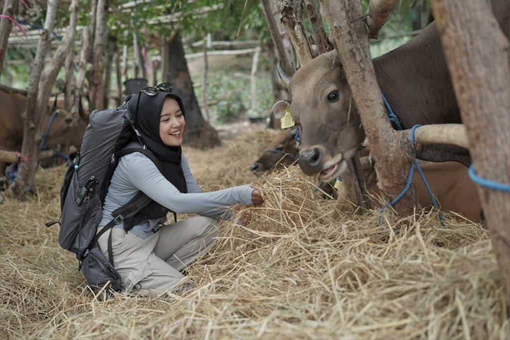 Refleksi Hidup Ocha Nugraha saat mengikuti proses QC hewan kurban bersama Dompet Dhuafa di NTT.