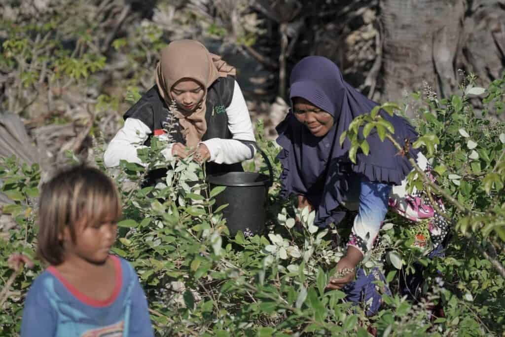 Refleksi Hidup Ocha Nugraha saat mengikuti proses QC hewan kurban bersama Dompet Dhuafa di NTT.