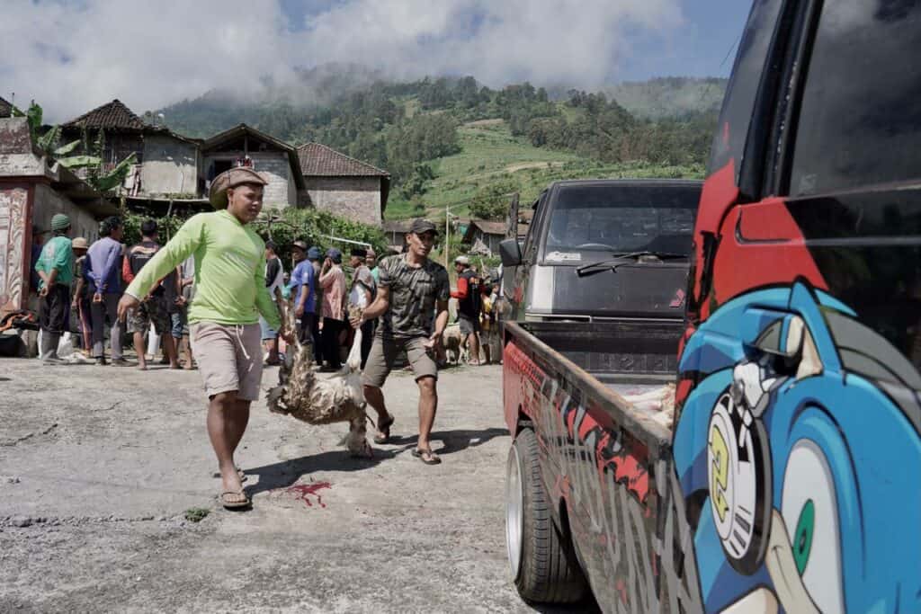 Warga berbondong-bondong mengantre dan mengirimkan hewan kurban ke 21 dusun di Desa Batur.