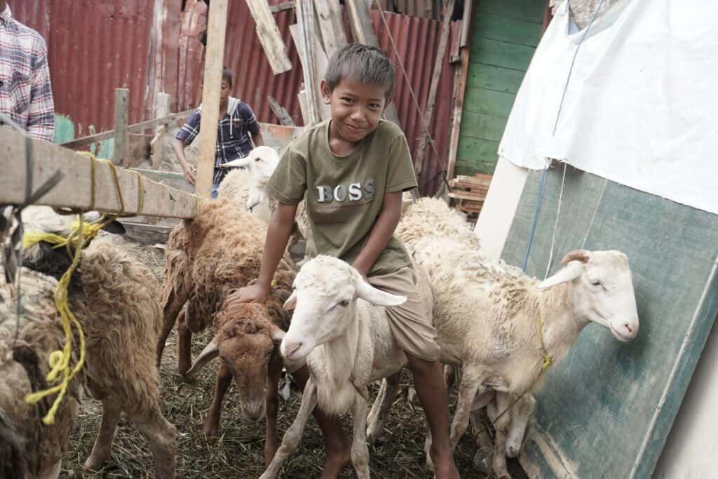 Keseruan anak-anak Jaring Halus kedatangan domba kurban di desanya.