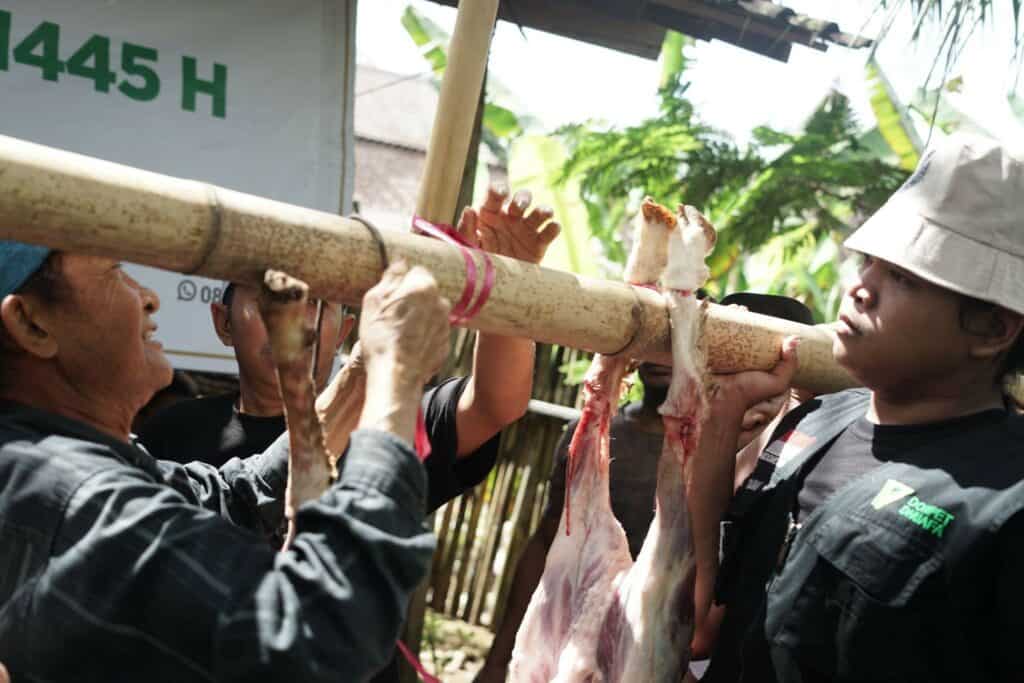 Masyarakat Osing menyambut 18 hewan kurban dari Dompet Dhuafa dengan sukacita pada Rabu (19/06/2024).