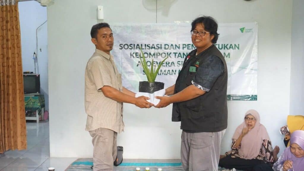 Penyerahan simbolik tanaman Aloe Vera Oleh Imam, Supervisor program ekonomi Dompet Dhuafa Yogyakarta, kepada Sudrajat selaku local hero petani Aloevera Desa Sojomerto, Salaman, Magelang.