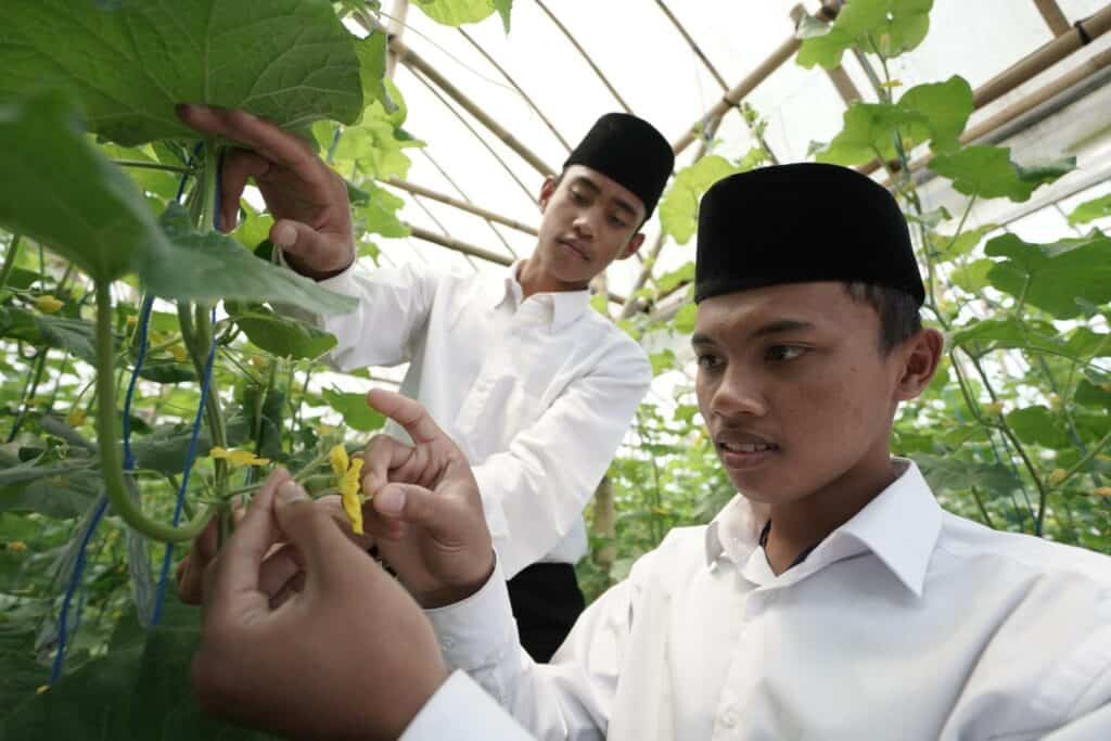 Muhammad Yusuf Al Qordhowi (kanan) bersama santri lain Pesantren Tahfidz Green Lido (PTGL) Sukabumi saat turut aktif membantu petani lokal merawat kebun wakaf produktif dengan konsep green house.