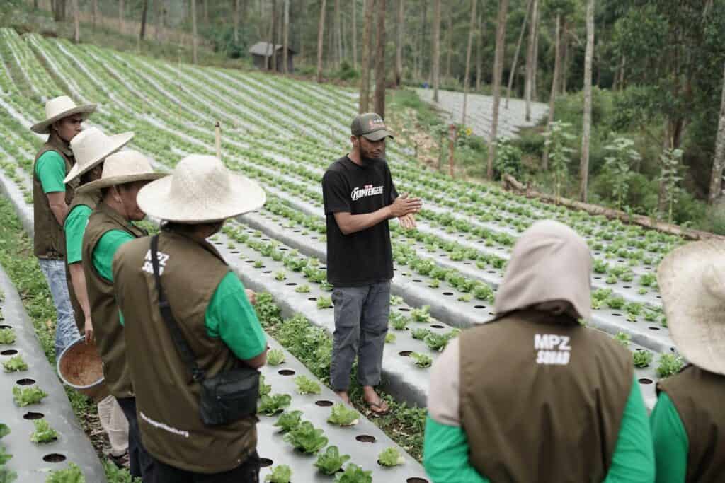 Para peserta melakukan kegiatan berkeliling kawasan Desa Tani sekaligus mendapatkan penjelasan lengkap dari para petani yang telah berdaya dalam rangkaian Capacity Building MPZ di Bandung pada 31 Oktober - 01 November 2024.