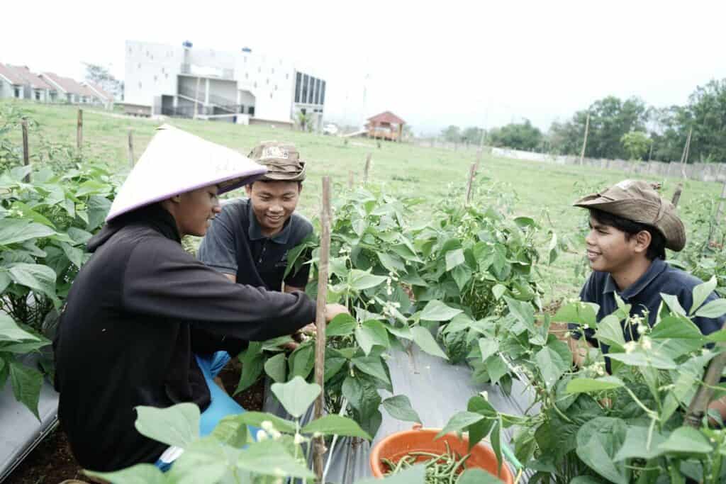 Melalui pemberdayaan ekonomi berbasis wakaf, budi daya tanaman yang ada di PTGL ini juga menjadi tempat pembelajaran bagi para santri E-Tahfidz School Dompet Dhuafa.