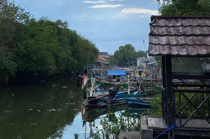 Kondisi Kampung Nelayan, Kawasan Mangrove, Kec. Gunung Anyar, Surabaya pada Kamis (21/11/2024).