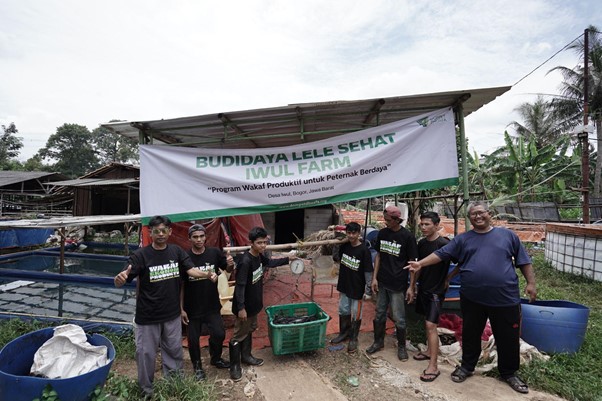 Proses panen 500 kilogram ikan lele di Iwul Farm melalui program wakaf investasi Dompet Dhuafa, Selasa (18/2/2025).