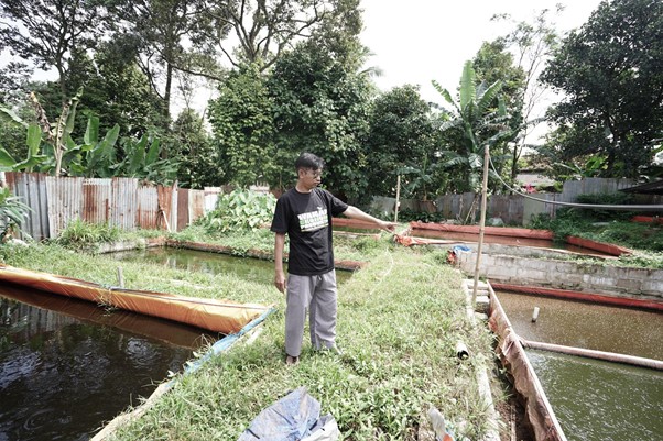 Pak Sunny di area kolam pembibitan ikan lele.